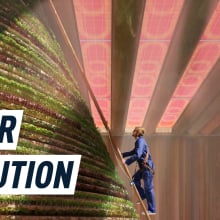 A man climbs a ladder to ascends a giant plant-made column in a room lit by soft pink light. The room's glass ceiling is covered with semi-transparent colourful solar panels which bathe the room in pink and yellow shades.