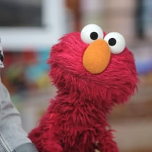 elmo staring at a camera