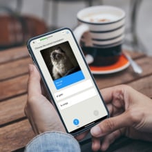 Qlango Language Learning