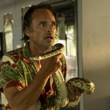 Walton Goggins as Rick in "The White Lotus," holding a large python.