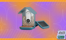 solar-powered camera bird feeder on orange and purple background