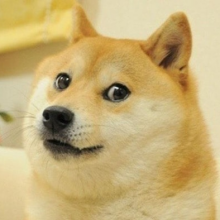 Doge Kabosu