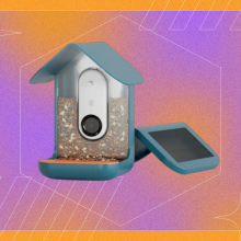 solar-powered camera bird feeder on orange and purple background