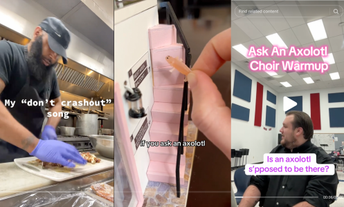 screenshots of tiktoks of people singing the axolotl song